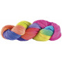 Manos del Uruguay Alegria Yarn Hand-dyed A9275 Locura fluo