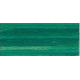 DMC Mouliné Color Variations Embroidery Thread 4045 Evergreen Forest