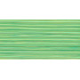 Gütermann Sewing Thread Polyester 153 Light Green 100m