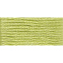 DMC Mouliné Spécial 25 Embroidery Thread 16 Chartreuse