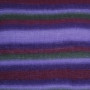 Drops Delight Yarn Print 14 Purple/Green