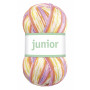 Järbo Junior Yarn 67031 Tutti Frutti Print