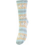 Järbo Soft Raggi Sock Yarn 31219 Blueberry Print