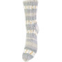 Järbo Soft Raggi Sock Yarn 31218 Moonlight Print