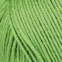 Järbo 8/4 Yarn Unicolor 32084 Apple Green