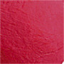 A-Color Acrylic Paint, 500 ml, primary red