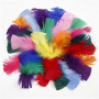 Feathers, size 7-8 cm, 50 g, asstd colours
