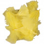 Feathers, size 7-8 cm, 50 g, yellow
