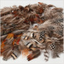 Natural Feathers, 6 packs