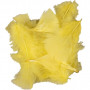 Down, yellow, size 7-8 cm, 500 g/ 1 pack