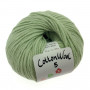 Gepard Yarn CottonWool 5 Unicolor 810 Dusty Green