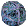 Hjertegarn Aloe Sockwool Sock Yarn 5020 Purple/Green/Blue