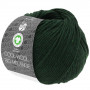 Lana Grossa Cool Wool Big Mélange Gots Yarn 206