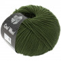 Lana Grossa Cool Wool Yarn 2042