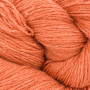 BC Garn Bio Balance Yarn 17 Orange