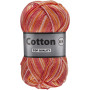 Lammy Cotton 8/4 Yarn Multi 629