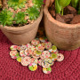 Infinity Hearts Assorted Buttons with print Coconut 20mm - 100 pcs