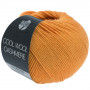 Lana Grossa Cool Wool Cashmere Yarn 42