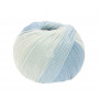 Lana Grossa Soft Cotton Dégradé Yarn 108