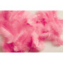 Feather Pink 5-8cm - approx. 7g
