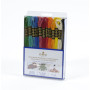 DMC Mouliné Embroidery Thread Package 12 Colors "Passion"