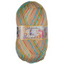 Opal Herbstmelodie Sock Yarn 11125