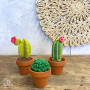 DIY Set Cacti Crocheting