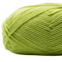Kremke Soul Wool Edelweiss Alpaca 029 Light green