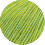 Lana Grossa Puno Due Yarn 18 Light Green/Yellow