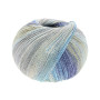 Lana Grossa Meilenweit 100 Cotton Bamboo Denim Yarn 3311 Silver Grey/Light Grey/Grey/Light Beige/Light Blue/Dark Blue
