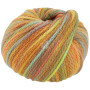 Lana Grossa Cool Merino Big Color Yarn 403