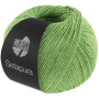 Lana Grossa Setapura Yarn 11 Light Green