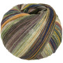 Lana Grossa Gomitolo Arco Yarn 173 Gray Beige/Olive/Gray-Brown/Green/Yellow/Turquoise/Yellow-Green
